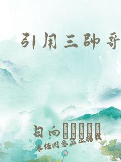 引用三帅哥