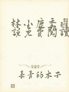 林小鹿季曜珉小说免费阅读