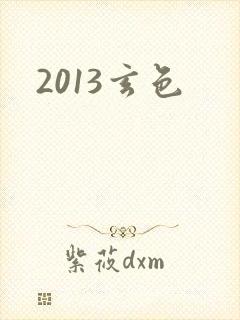 2013玄色