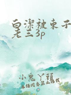 白洁被东子老二老三3p