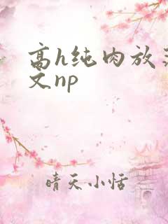 高h纯肉放荡h文np