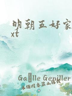 明朝五好家庭txt