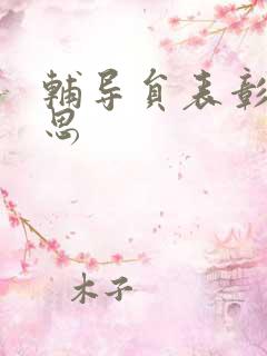 辅导员表彰周思思