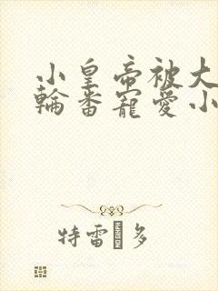 小皇帝被大臣们轮番宠爱小说