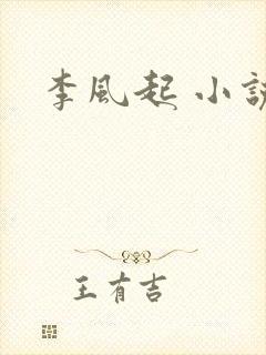 李风起 小说