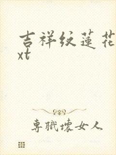 吉祥纹莲花楼txt