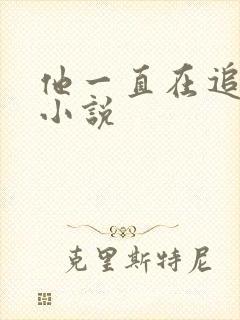 他一直在追初恋小说