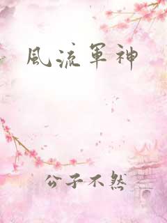 风流军神