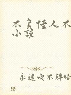 不负佳人不负卿小说