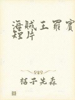 海贼王罗宾被h短片