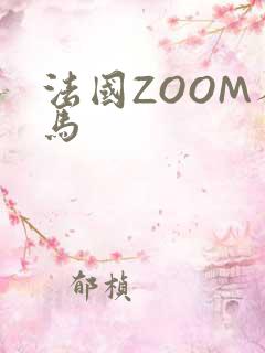 法国ZOOM人马