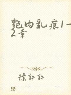 艳肉乱痕1—12章