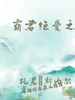 霸君绝爱之祖训