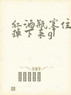 红酒瓶塞住不准掉下来gl