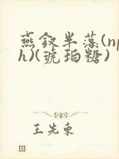 燕钗半落(nph)(琥珀糖)