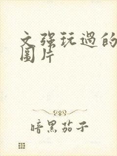 文强玩过的女人图片