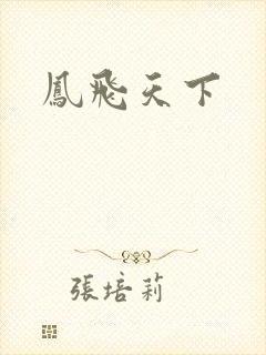 凤飞天下