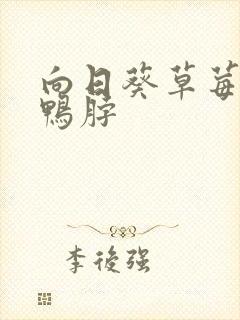 向日葵草莓丝瓜鸭脖