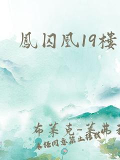 凤囚凰19楼