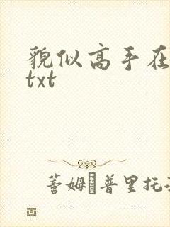 貌似高手在异界txt