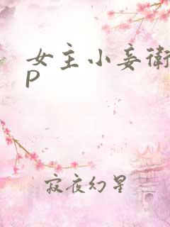 女主小妾卫府NP