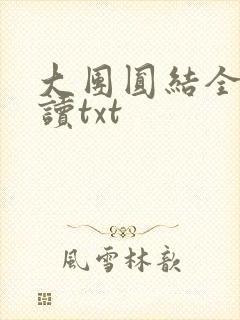 大团圆结全文阅读txt
