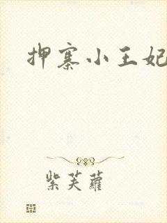 押寨小王妃