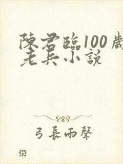 陈君临100岁老兵小说