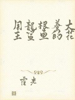 用龙根养大的公主鲨鱼的花