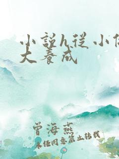 小说h从小做到大养成