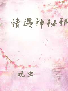 情遇神秘邪少