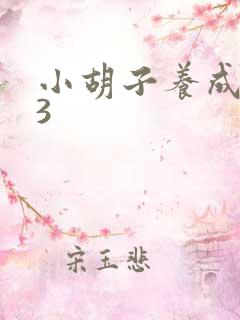 小胡子养成计划3