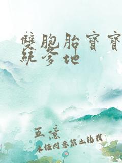 双胞胎宝宝的总统爹地