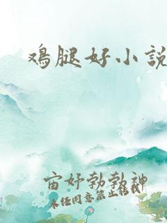 鸡腿好小说网