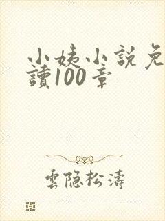 小姨小说免费阅读100章