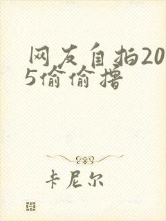 网友自拍2015偷偷撸