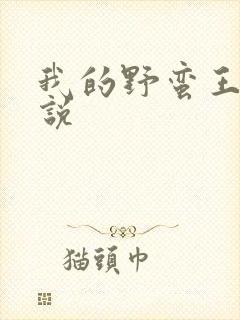 我的野蛮王妃小说