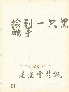 捡到一只黑心小触手