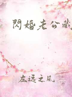 闪婚老公藏不住