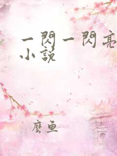 一闪一闪亮星星小说