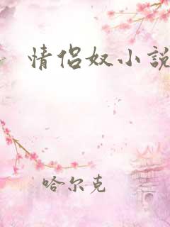 情侣奴小说