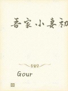 吾家小妻初长成