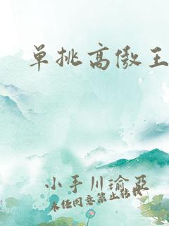 单挑高傲王子