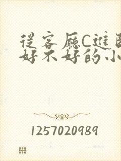 从客厅C进卧室好不好的小说