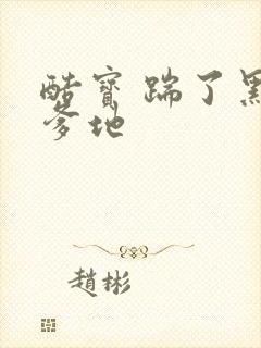 酷宝 踹了黑道爹地