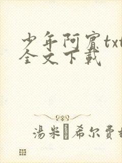 少年阿宾txt全文下载