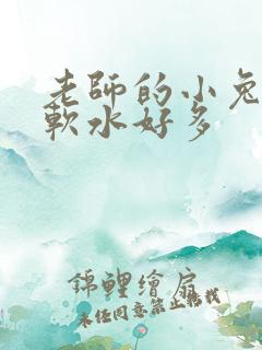 老师的小兔子好软水好多