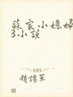 苏家小媳妇1V3小说