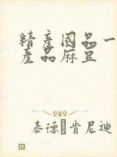 精产国品一二三产品麻豆