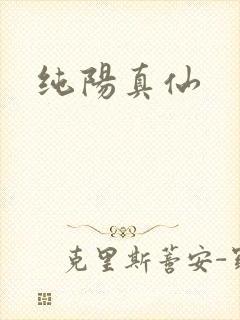 纯阳真仙
